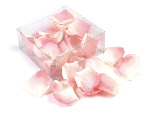 silk pink petals