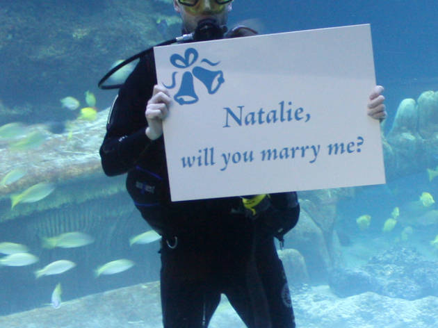underwater proposal ideas